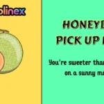 Honeydew Pick Up Lines