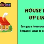 House Pick Up Lines