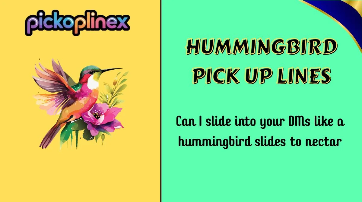 Hummingbird Pick Up Lines