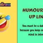 Humour Pick Up Lines