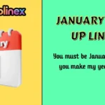 January Pick Up Lines