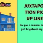 Juxtaposition Pick Up Lines