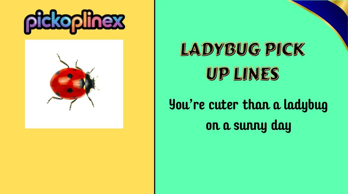 Ladybug Pick Up Lines