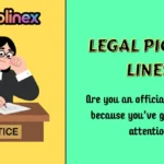 Legal Pick Up Lines