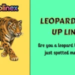 Leopard Pick Up Lines