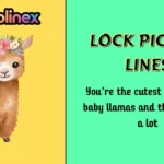 Llama Pick Up Lines