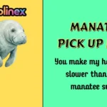 Manatee Pick Up Lines