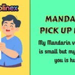 Mandarin Pick Up Lines