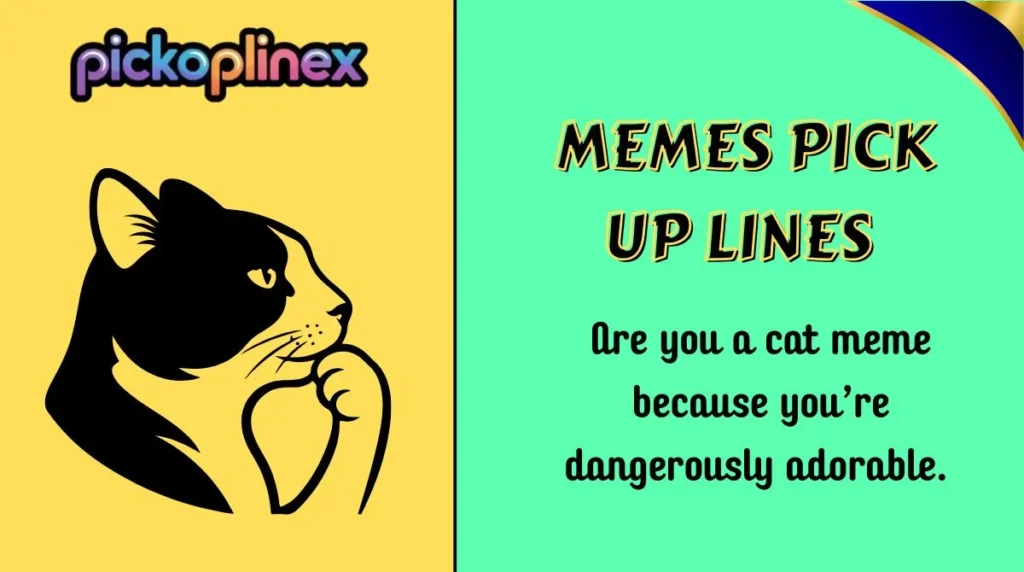 Memes Pick Up Lines