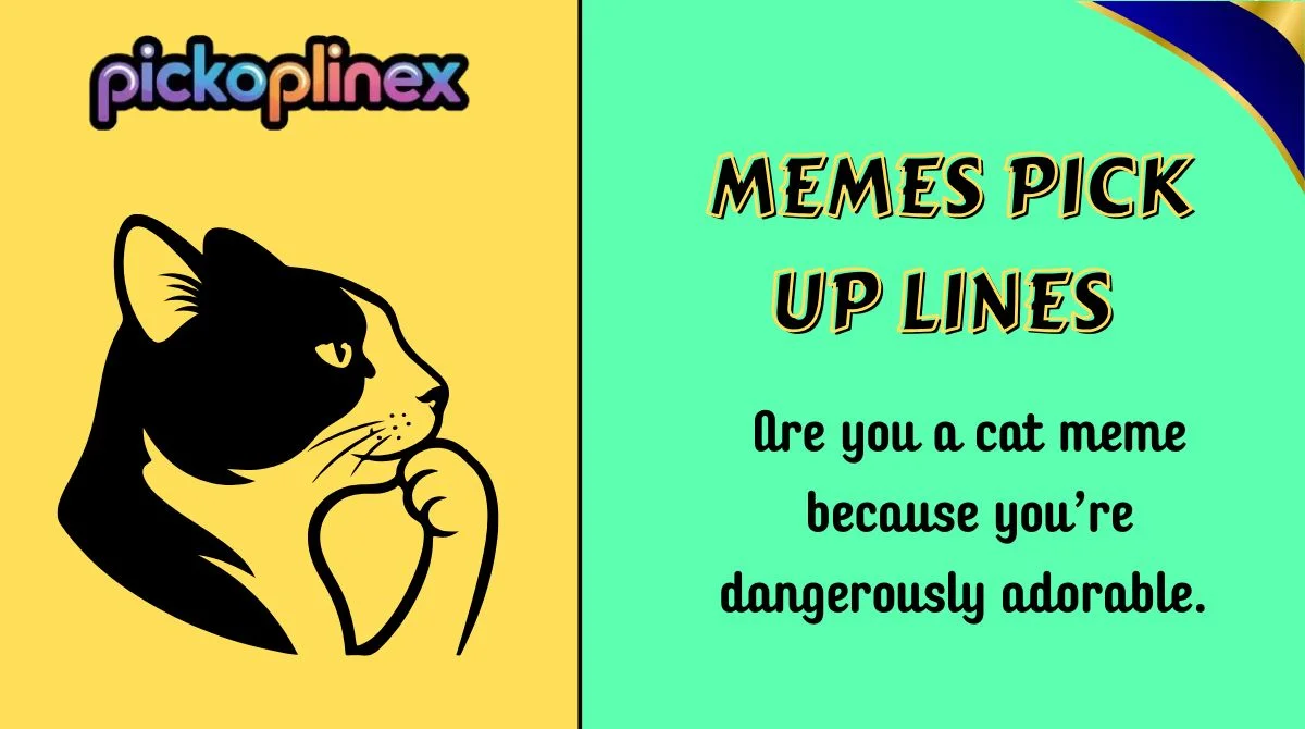 Memes Pick Up Lines