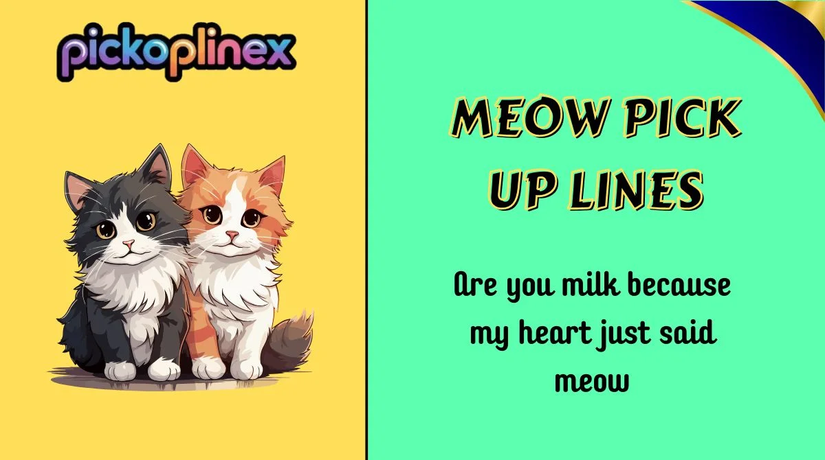 Meow Pick Up Lines