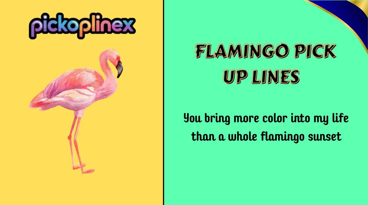 Flamingo Pick Up Lines