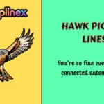 Hawk Pick Up Lines
