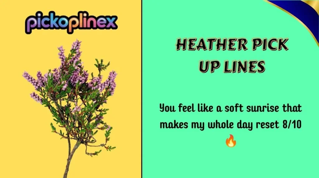 Heather Pick Up Lines