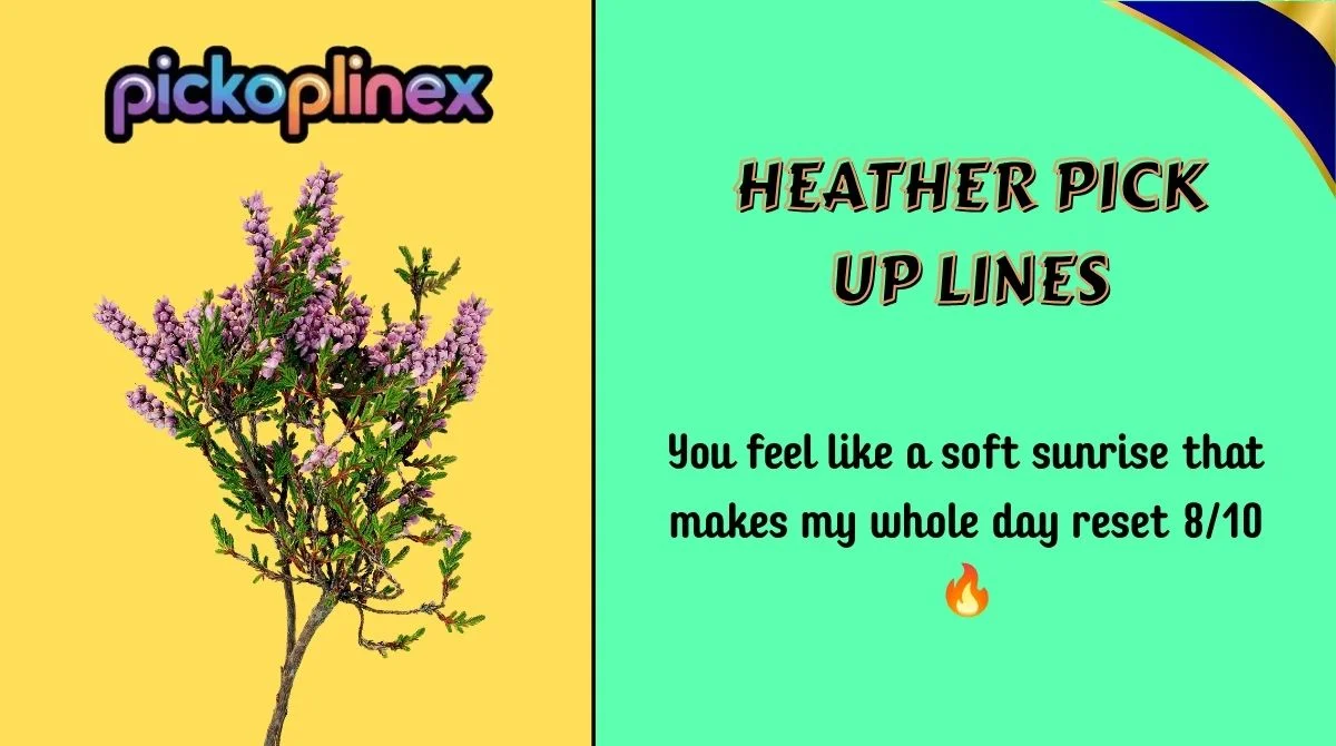 Heather Pick Up Lines