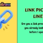 Link Pick Up Lines