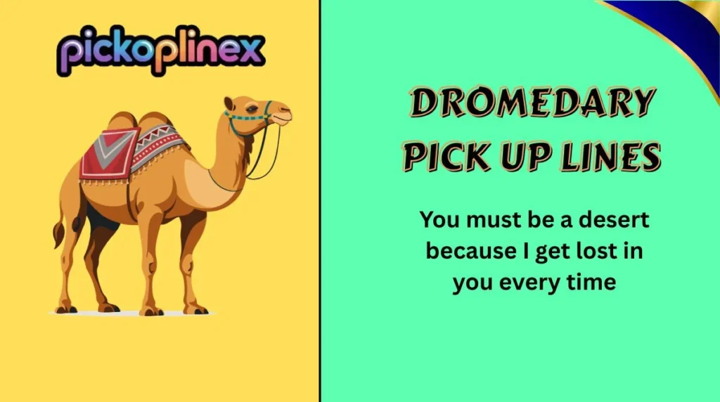 Dromedary Pick Up Lines