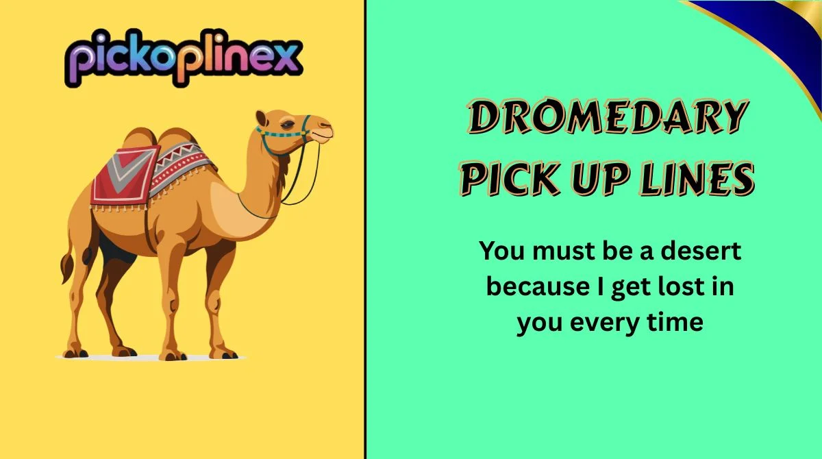 Dromedary Pick Up Lines