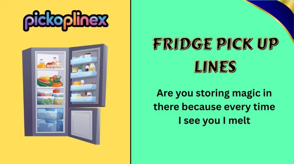 Fridge Pick Up Lines