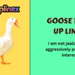 Goose Pick Up Lines