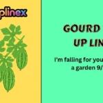 Gourd Pick Up Lines